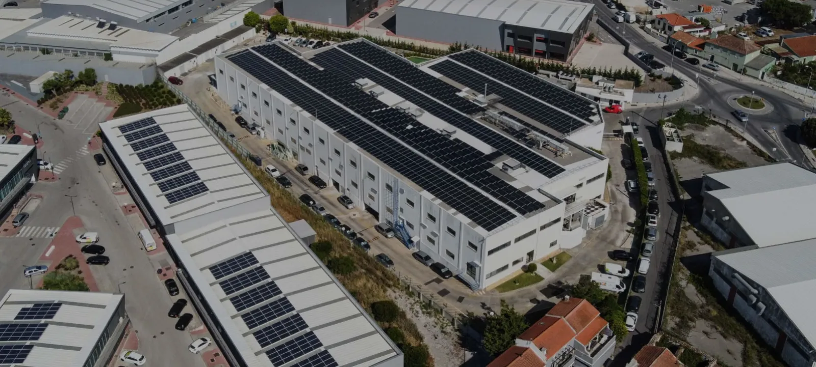 Illustration for Essilor Portugal